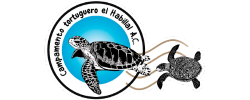 Campamento Tortuguero El Habillal
